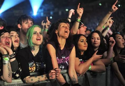 green day fans.